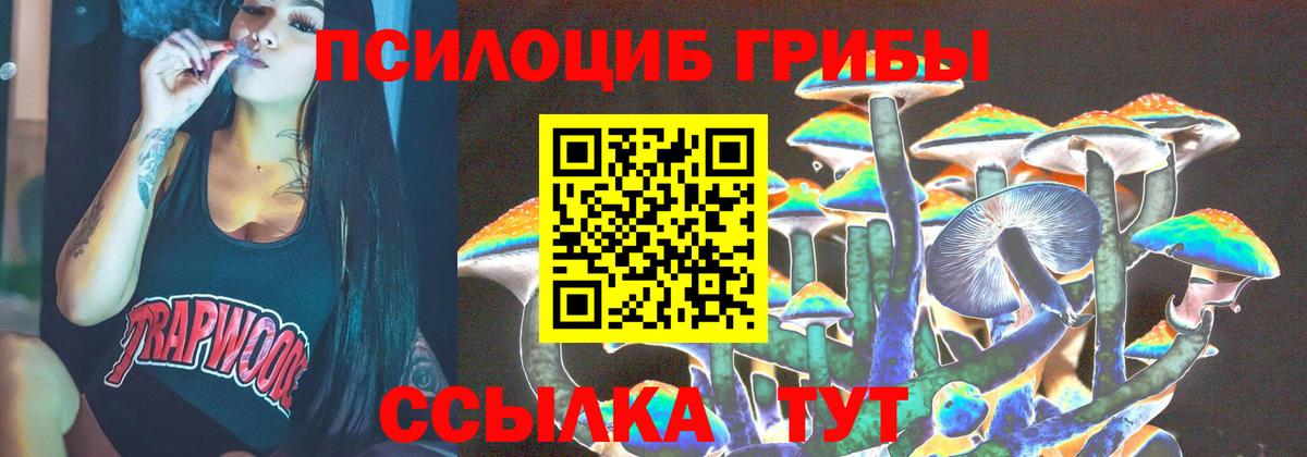 Галлюциногенные грибы Psilocybe Краснокаменск