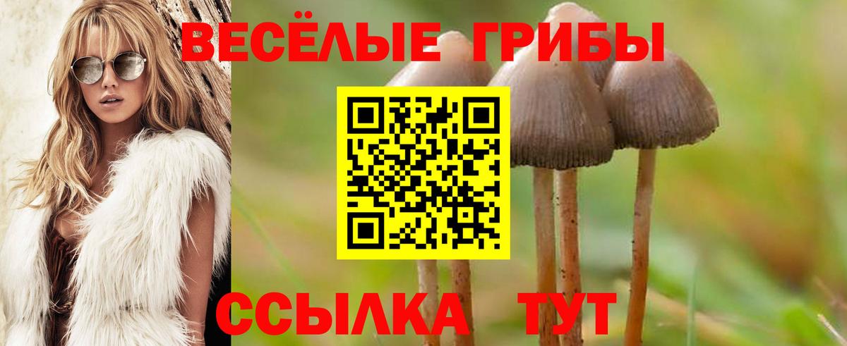Псилоцибиновые грибы прущие грибы  Галлюциногенные грибы мухоморы  Вход с VPN  Краснокаменск 